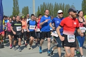 Photo CMP_DSC_0043.JPG